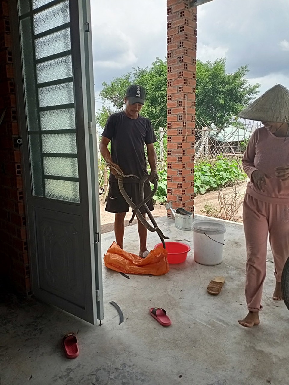 Gia cảnh khốn khó của người ôm rắn hổ mang chúa vào bệnh viện cấp cứu - 3 Gia cảnh khốn khó của người ôm rắn hổ mang chúa vào bệnh viện cấp cứu - 3