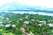 Khám phá "hoa quả sơn" độc đáo ở Quảng Nam