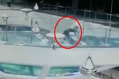 Sốc khoảnh khắc cô gái ngã vào bể nuôi cá mập đúng vào giờ cho cá ăn