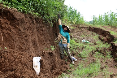 Đồi sầu riêng gần tuyến đường nghìn tỷ sạt trượt nghiêm trọng
