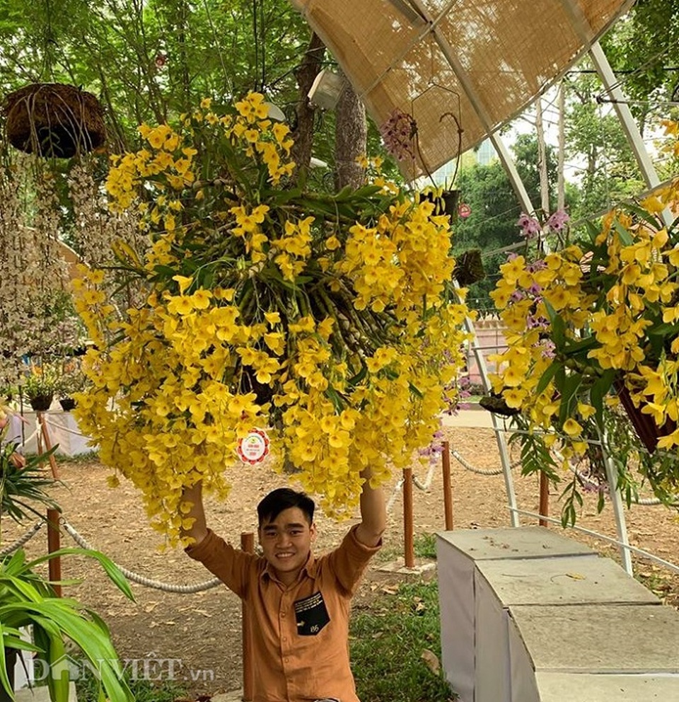 Giàn phong lan giả hạc thanh củi khủng của 9X Lâm Đồng - 7 Giàn phong lan giả hạc thanh củi khủng của 9X Lâm Đồng - 7