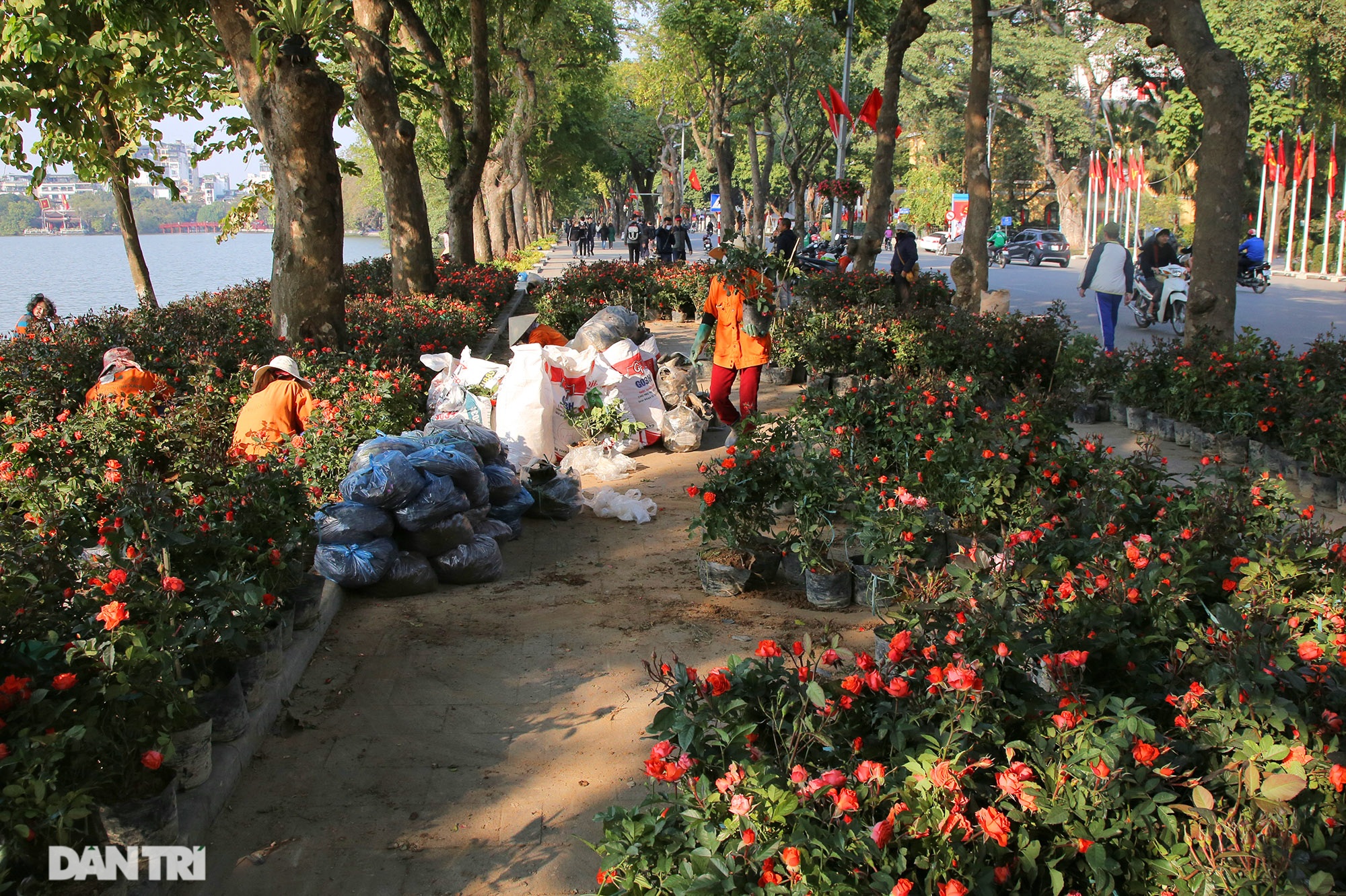 Hồ Gươm trang trí hoa rực rỡ sắc màu chào mừng Đại hội XIII của Đảng - 1 Hồ Gươm trang trí hoa rực rỡ sắc màu chào mừng Đại hội XIII của Đảng - 1