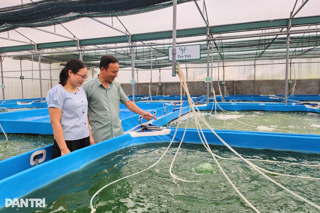 Vợ chồng giáo viên bỏ nghề về làm giàu từ loại không phải cho ăn gì - 2 Vợ chồng giáo viên bỏ nghề về làm giàu từ loại không phải cho ăn gì - 2