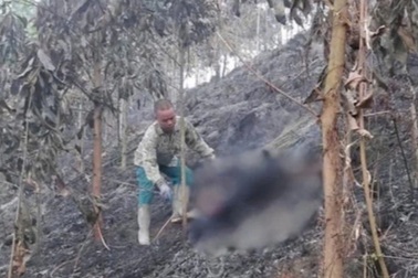 Một phụ nữ tử vong khi chữa cháy rừng ở Bắc Kạn