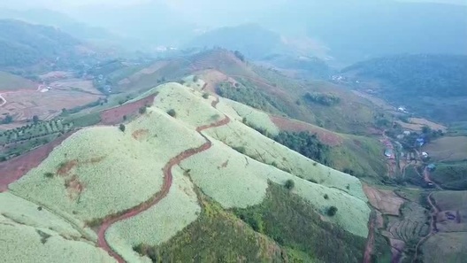 Đồi hoa cải đẹp nên thơ ở Mộc Châu