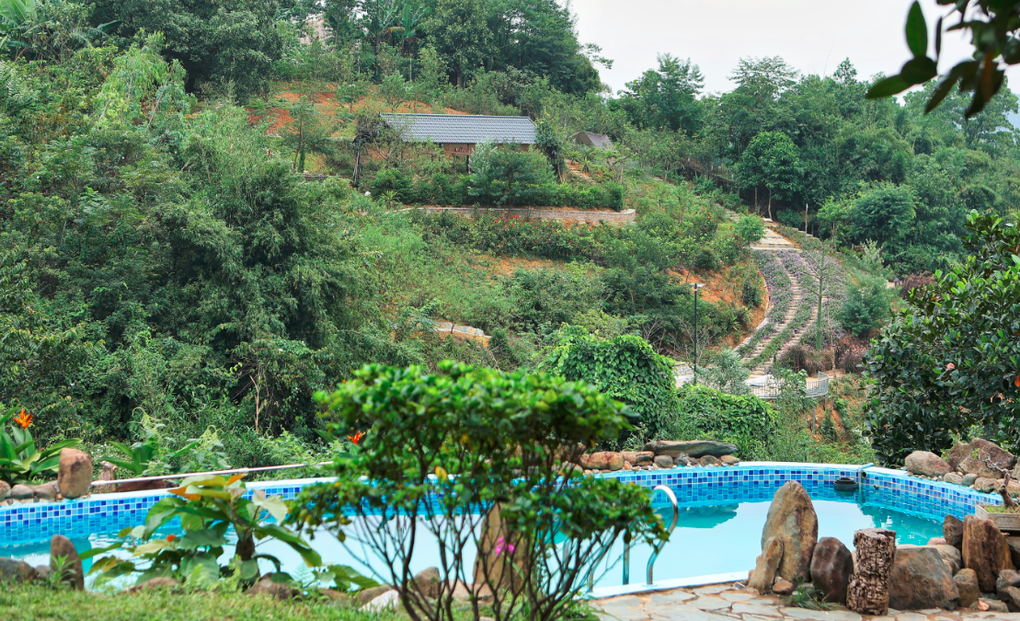 Đã mắt ngắm nhà vườn rộng 12.000m2 của ca sĩ Việt Hoàn - 14 Đã mắt ngắm nhà vườn rộng 12.000m2 của ca sĩ Việt Hoàn - 14