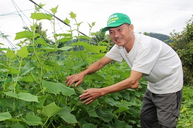 Năm Covid-19 và bão lũ, nhiều trường hợp vẫn quyết xin ra khỏi hộ nghèo