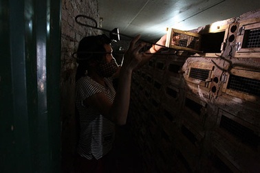 Kỳ lạ ngôi làng sống chung với “tử thần”