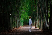 Hành trình tìm về vẻ đẹp hoang sơ nơi phố núi Buôn Ma Thuột