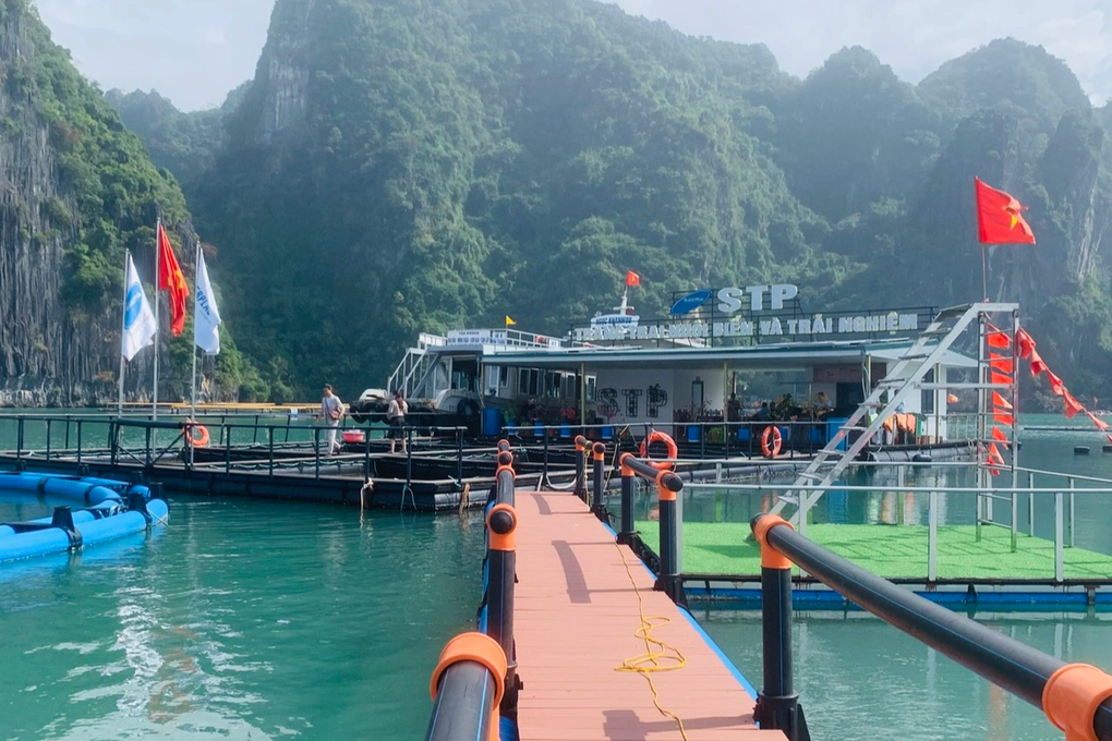 Nghề nuôi biển Việt Nam có thể thu đến 15 tỷ USD mỗi năm - 5 Nghề nuôi biển Việt Nam có thể thu đến 15 tỷ USD mỗi năm - 5