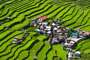 Ruộng bậc thang - "kỳ quan thiên nhiên thứ 8" của thế giới