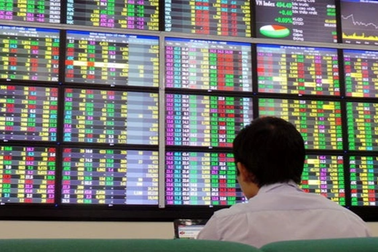 Ai đó bảo chưa bao giờ lỗ trong chứng khoán thì điều đó đáng để nghi ngờ