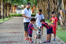 Người nước ngoài cưới vợ Việt, đi làm có cần giấy phép lao động?