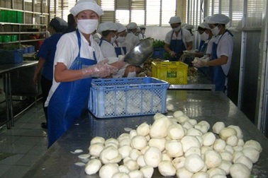 Luật “lắm mối” thách đố người tiêu dùng và cơ quan quản lý