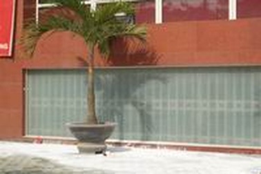 Một cán bộ Bộ Kế hoạch Đầu tư nhảy lầu tự tử