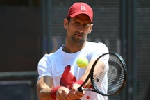 Djokovic "ổn" sau khi bị chai nước rơi vào đầu