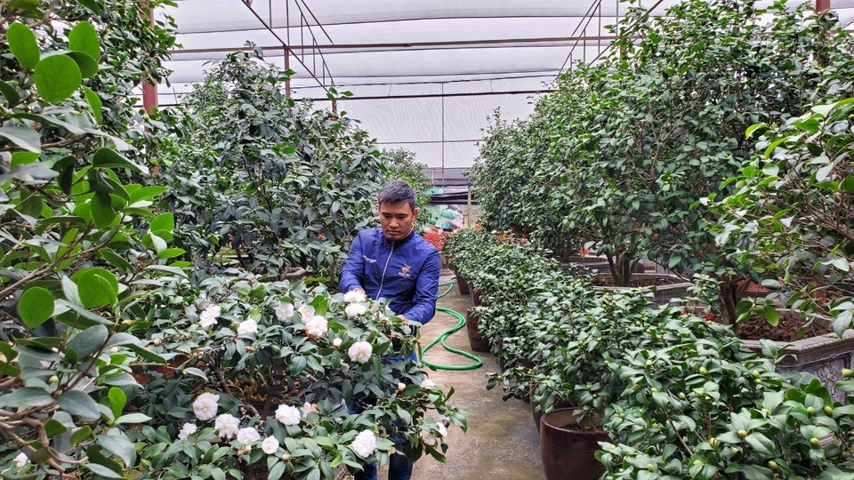 Trồng loại cây khó tính, nông dân thu trăm triệu mỗi năm - 1 Trồng loại cây khó tính, nông dân thu trăm triệu mỗi năm - 1