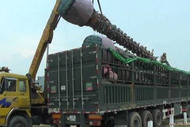 GS Võ Tòng Xuân: "Không nên thấy Trung Quốc mua gì cũng sợ"