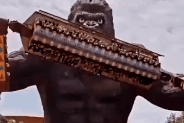 Chóng mặt khi chứng kiến du khách chơi trò mạo hiểm trong công viên