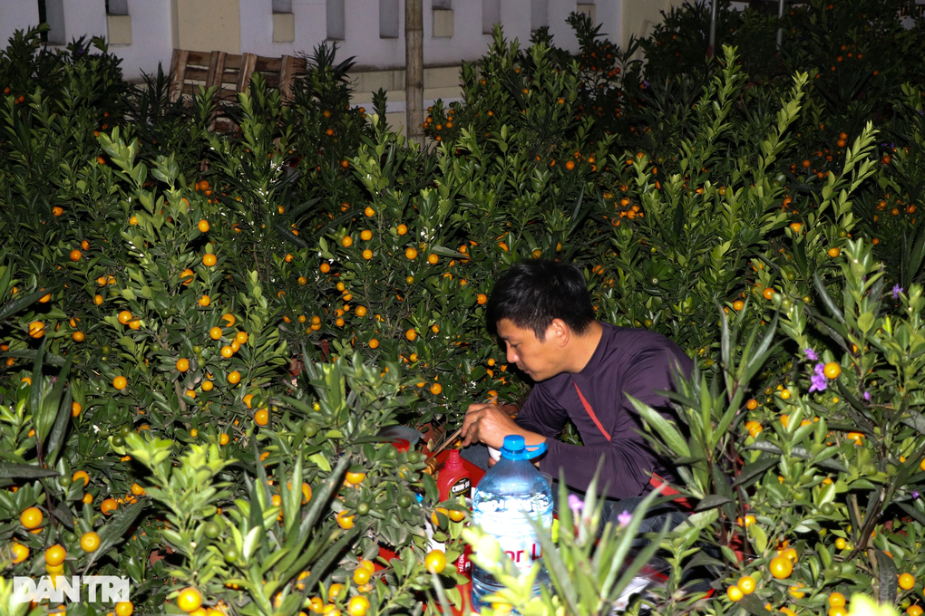 Cảnh ăn bờ ngủ bụi, mắt nhắm mắt mở của những người buôn Tết - 1 Cảnh ăn bờ ngủ bụi, mắt nhắm mắt mở của những người buôn Tết - 1