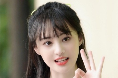 Nếu bị buộc tội trốn thuế, Trịnh Sảng sẽ phải chịu hình phạt gì?