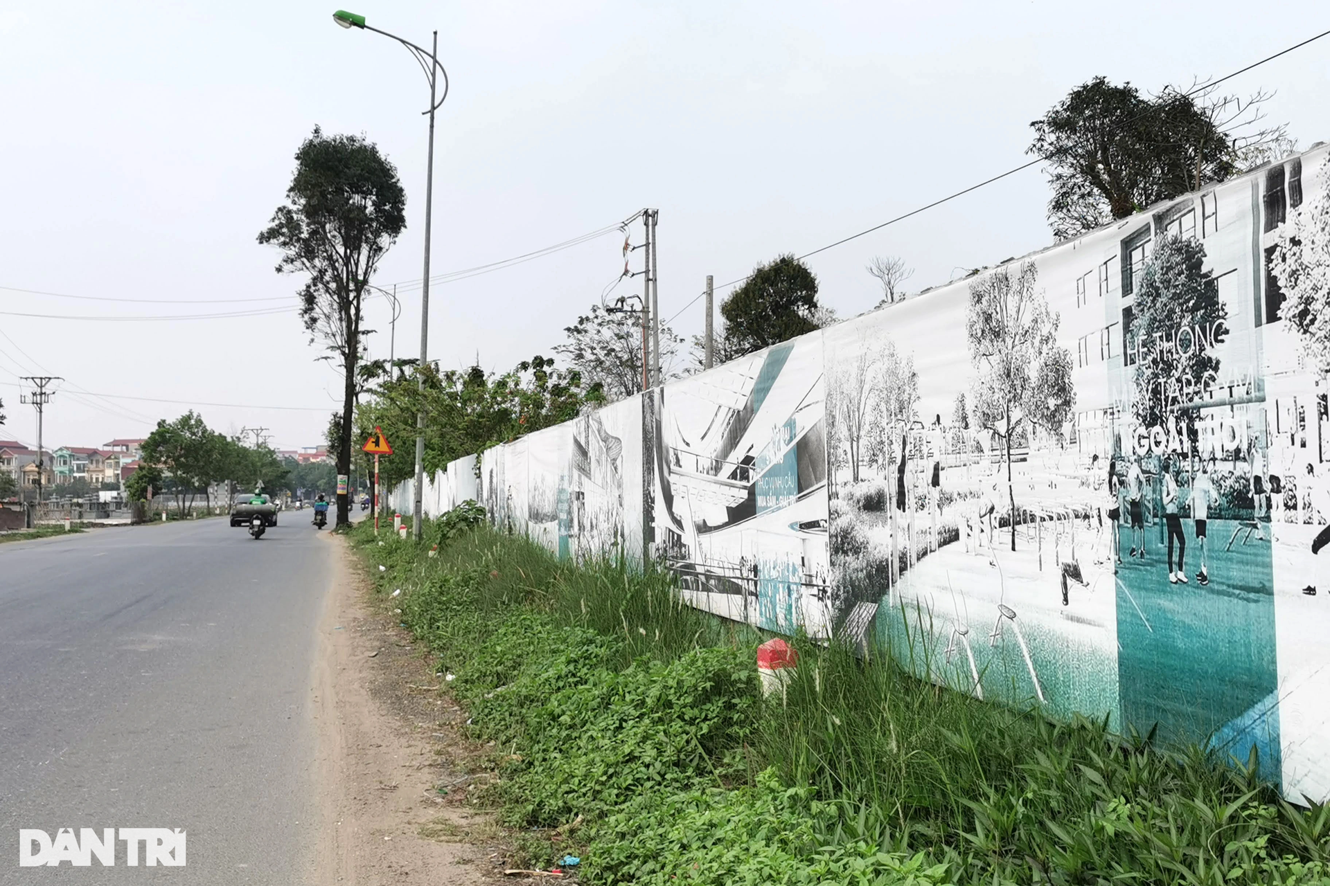 Nhiều khu đô thị đã có cả thập kỷ vẫn để chăn thả bò, trồng cỏ ở Mê Linh - 12 Nhiều khu đô thị đã có cả thập kỷ vẫn để chăn thả bò, trồng cỏ ở Mê Linh - 12