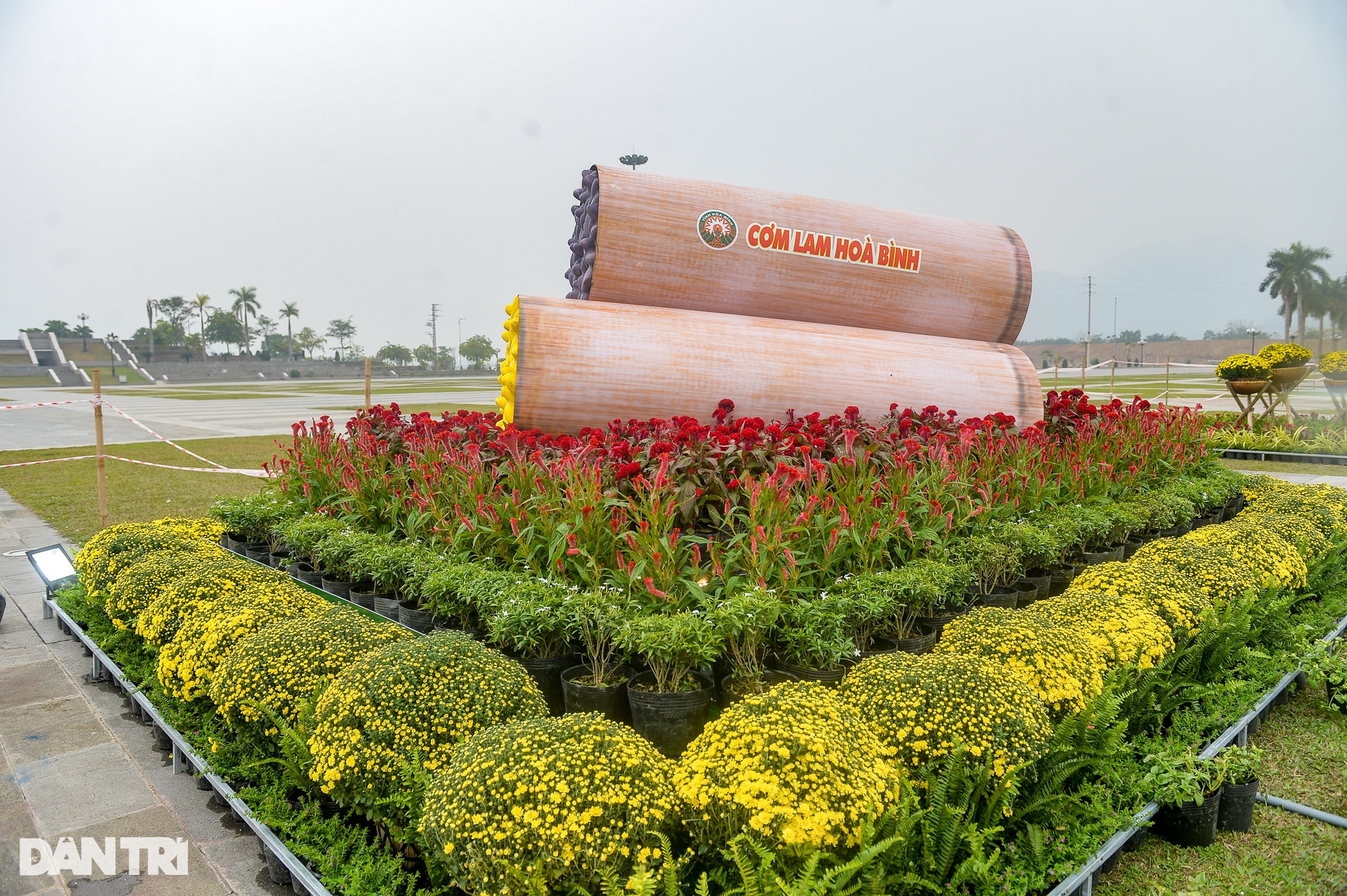 Gia đình linh vật mèo chào Xuân Quý Mão 2023 ở Hòa Bình - 15 Gia đình linh vật mèo chào Xuân Quý Mão 2023 ở Hòa Bình - 15