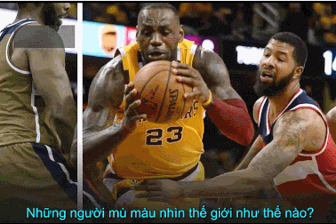 Thế giới trong ánh mắt của những người bị mù màu?