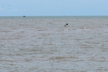 Phát hiện thi thể không nguyên vẹn nổi trên biển