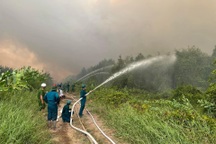 Cơ bản đã khống chế được vụ cháy rừng ở Cà Mau