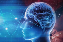 Phát hiện bất ngờ về khả năng lưu trữ thông tin của bộ não