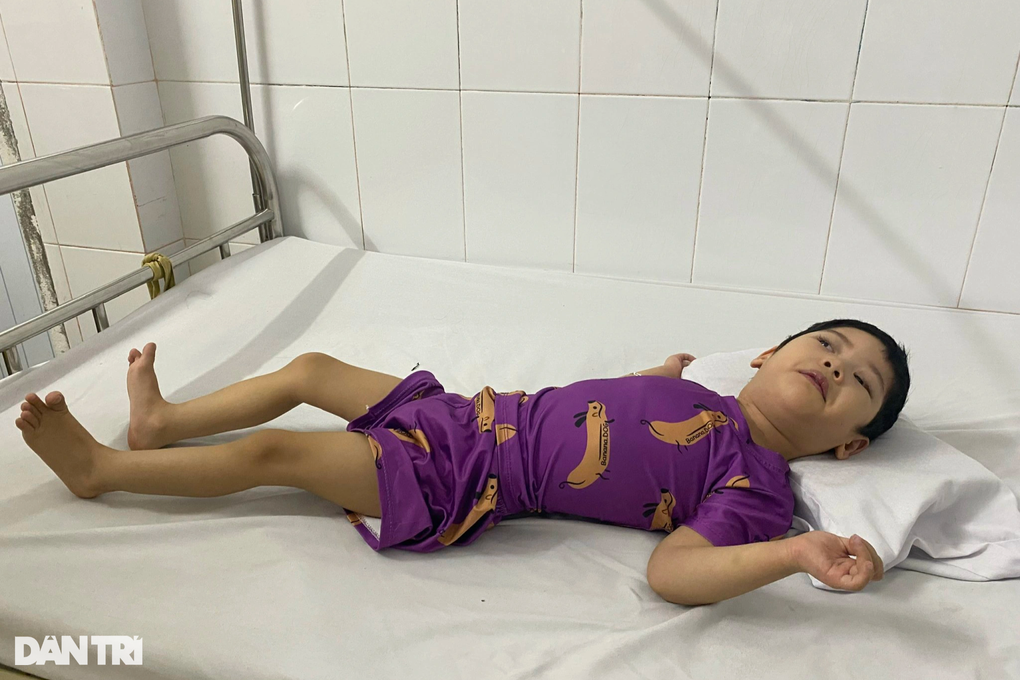 Xót xa tiếng khóc xé lòng của bé gái 4 tuổi bị bệnh tim và bại não hành hạ - 7 Xót xa tiếng khóc xé lòng của bé gái 4 tuổi bị bệnh tim và bại não hành hạ - 7