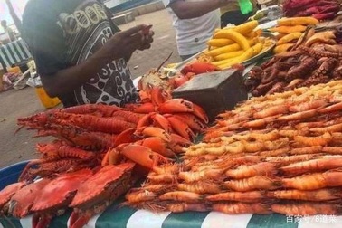 Khu chợ bán hải sản rẻ hơn rau, con gì cũng có kích thước "khủng"