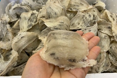 Yến sào rất bổ dưỡng, nhưng ai không nên ăn?