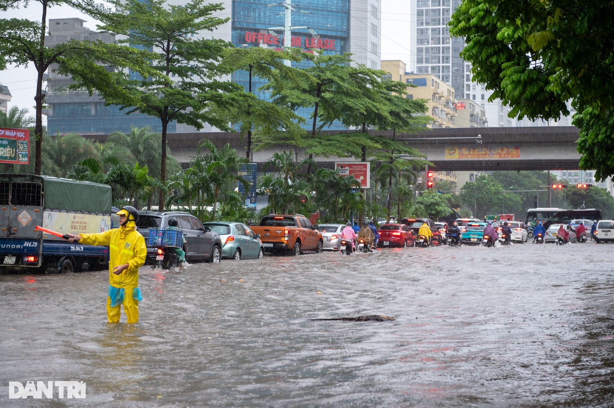 Một buổi sáng tê liệt ở Hà Nội - 13