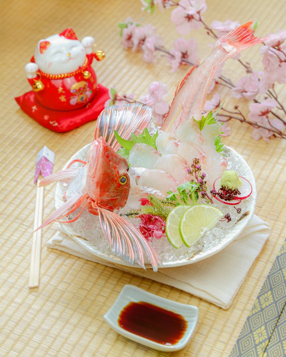 Cá Houbou - Tinh hoa ẩm thực mùa xuân của giới thượng lưu Nhật Bản - 2 Cá Houbou - Tinh hoa ẩm thực mùa xuân của giới thượng lưu Nhật Bản - 2