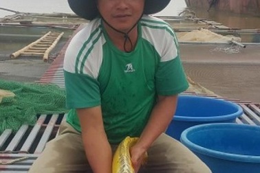 Nuôi loài cá nghìn đô trên sông Hồng, mỗi năm bỏ túi cả tỷ đồng.