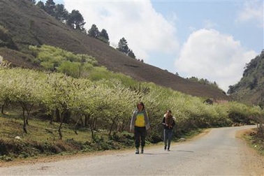 Quy hoạch phát triển Mộc Châu thành Khu du lịch Quốc gia