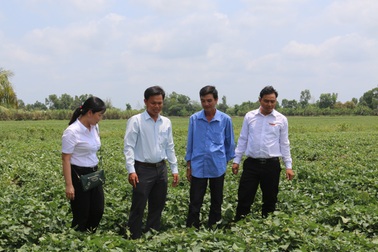 Nhiều vùng chuyên canh ở miền Tây được hình thành từ hợp tác 3N