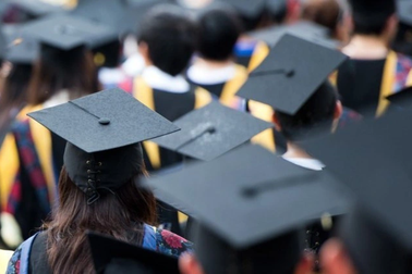 Một số tân giáo sư, phó giáo sư bị tố vi phạm liêm chính, Hội đồng kết luận