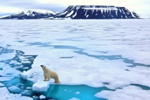 Cột mốc báo động: chỉ 3 năm nữa Bắc Băng Dương sẽ không còn băng