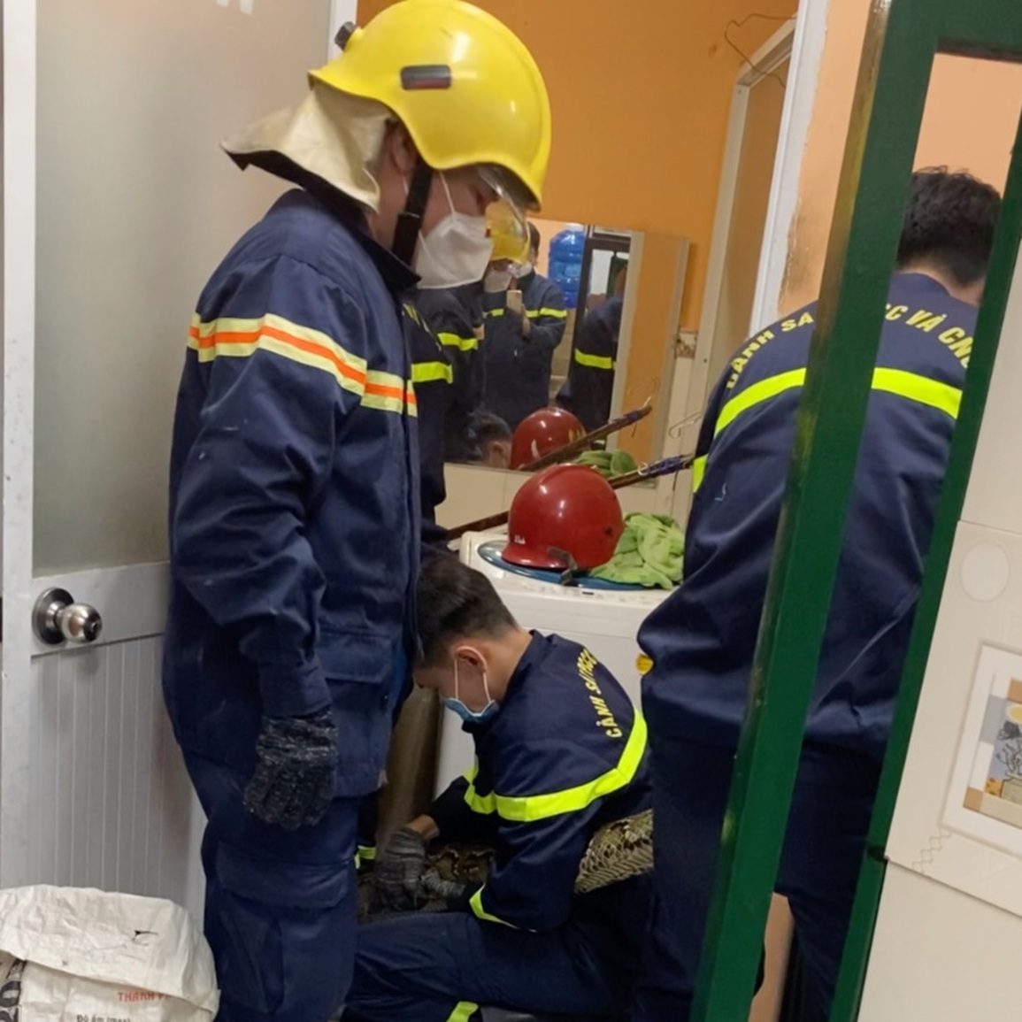 Xem lính cứu hỏa bắt trăn gấm khủng trong nhà dân ở TPHCM - 1 Xem lính cứu hỏa bắt trăn gấm khủng trong nhà dân ở TPHCM - 1
