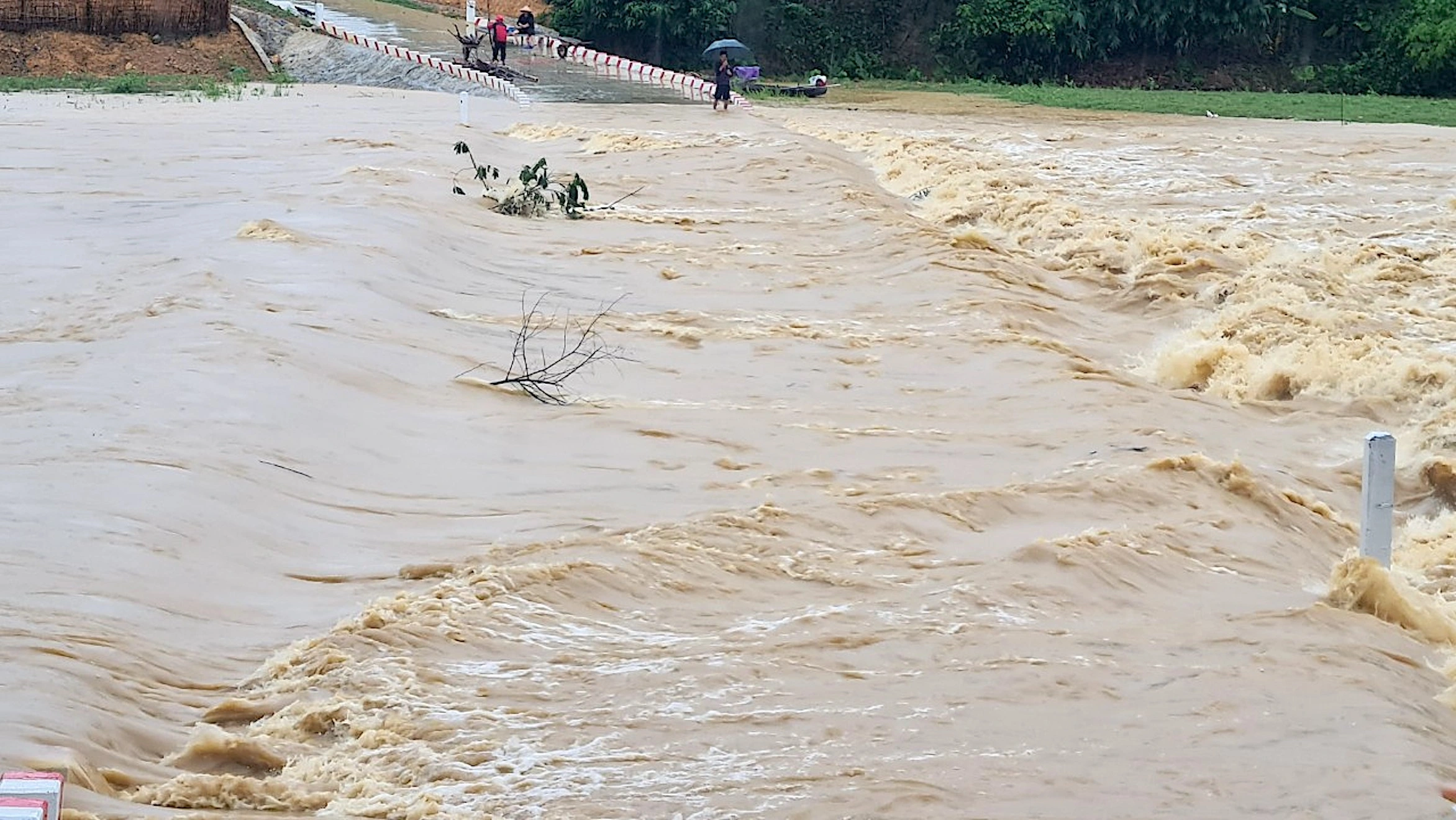 Di dời tài sản và người dân vùng ngập lụt đến nơi an toàn - 5