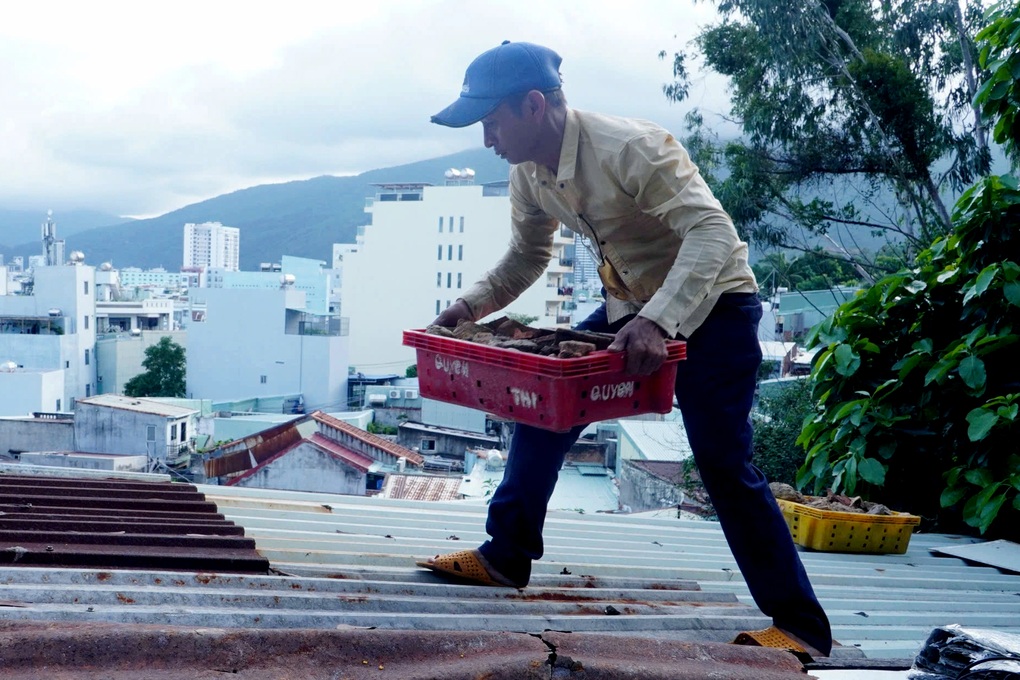 Người dân Gia Lai hối hả tích thực phẩm, chằng chống nhà đón bão Kalmaegi - 1 Người dân Gia Lai hối hả tích thực phẩm, chằng chống nhà đón bão Kalmaegi - 1