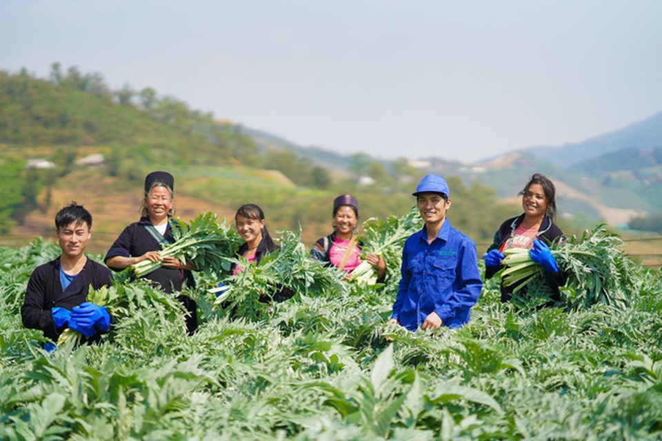 Hơn 20 năm, thuốc bổ gan Boganic - Traphaco tiếp tục khẳng định vị thế thương hiệu tiên phong hàng đầu - 4 Hơn 20 năm, thuốc bổ gan Boganic - Traphaco tiếp tục khẳng định vị thế thương hiệu tiên phong hàng đầu - 4