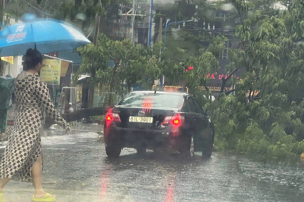 Mưa kèm gió lớn, cây xanh bật gốc đè trúng ô tô và nhà dân ở Bình Dương - 2 Mưa kèm gió lớn, cây xanh bật gốc đè trúng ô tô và nhà dân ở Bình Dương - 2