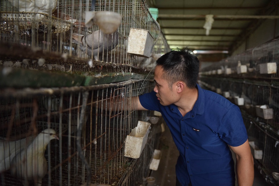 Bỏ nghề lập trình viên về làm nông dân nuôi chim thu 3 tỷ đồng/năm - 7 Bỏ nghề lập trình viên về làm nông dân nuôi chim thu 3 tỷ đồng/năm - 7