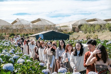 Bước lên chuyến xe đi dọc nước Việt - tuổi trẻ có bao lâu mà hững hờ?