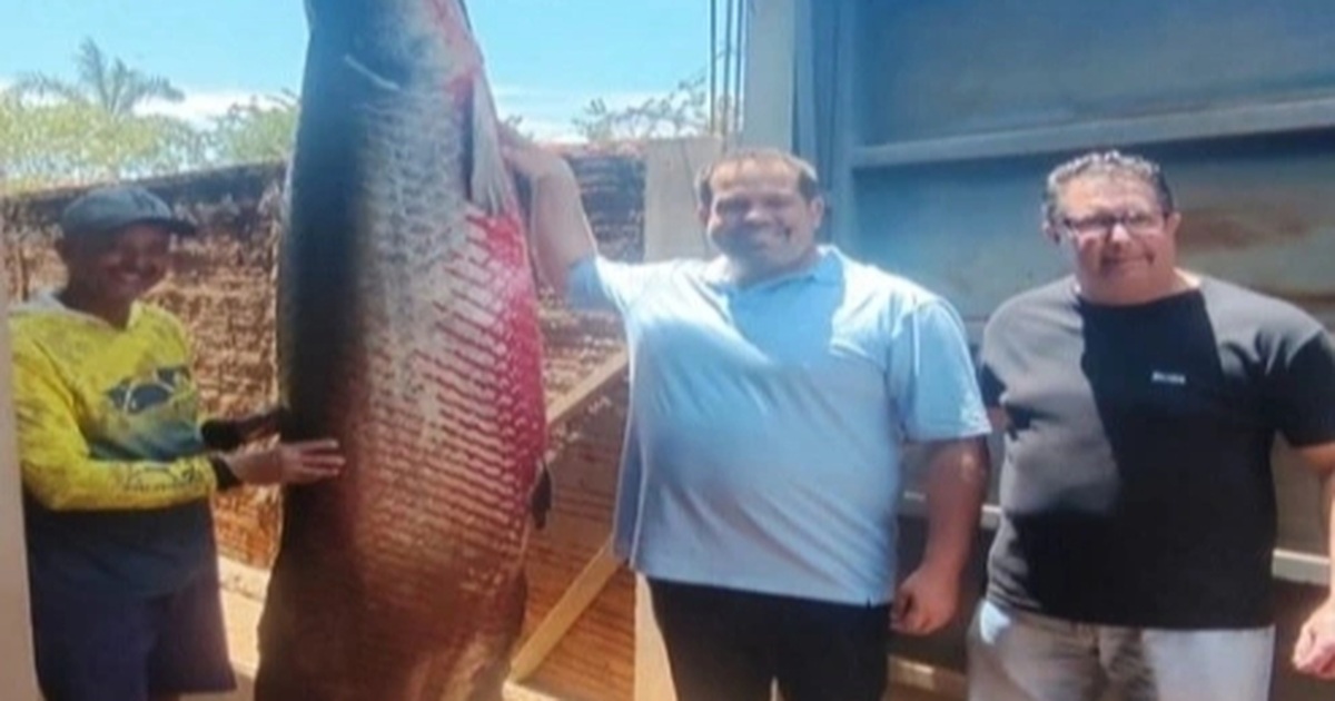 Ngư dân bắt được con cá hải tượng long nặng 165kg dài 2,5m gây xôn xao