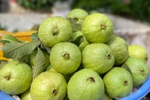 7 loại trái cây siêu giàu chất chống oxy hóa giúp sống thọ, ngừa bệnh tật